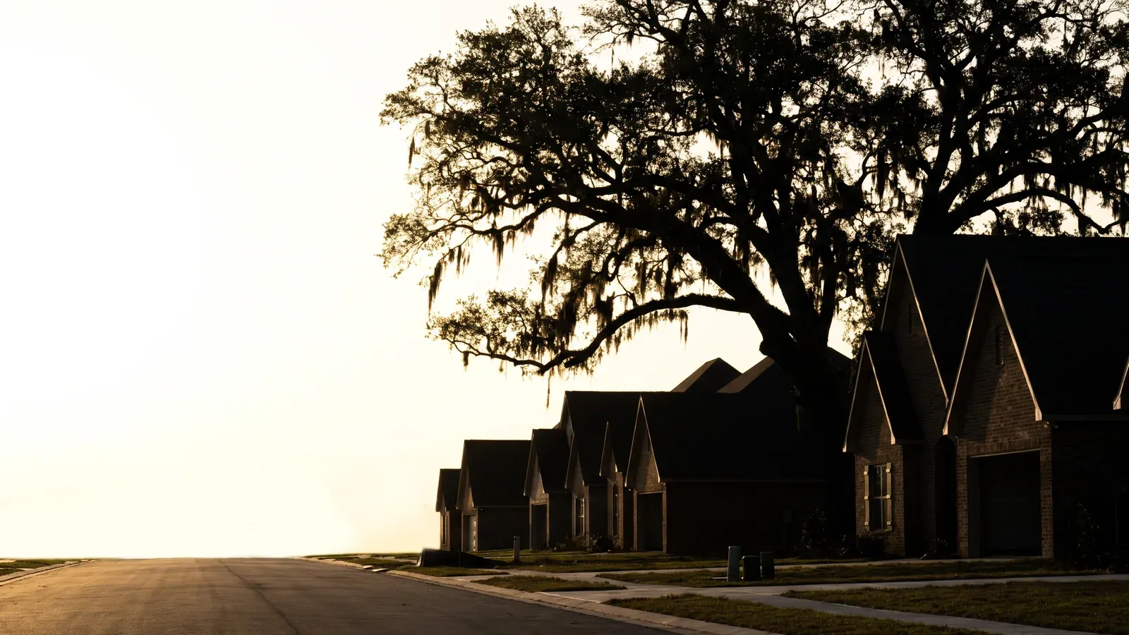 One huge old live oak rising above the new brick rooflines of a Broussard subdivision