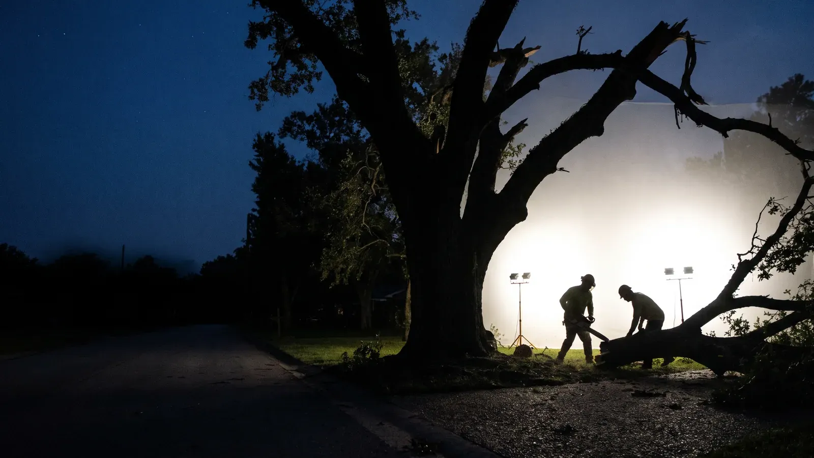 A fallen tree across a residential driveway at dusk, with two crew members working under portable work lights
